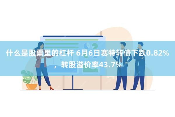 什么是股票里的杠杆 6月6日赛特转债下跌0.82%，转股溢价率43.7%