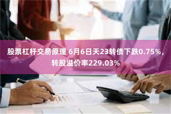 股票杠杆交易原理 6月6日天23转债下跌0.75%，转股溢价率229.03%