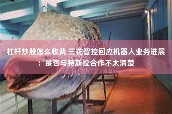 杠杆炒股怎么收费 三花智控回应机器人业务进展：是否与特斯拉合作不太清楚