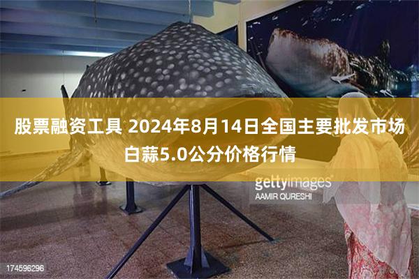 股票融资工具 2024年8月14日全国主要批发市场白蒜5.0公分价格行情