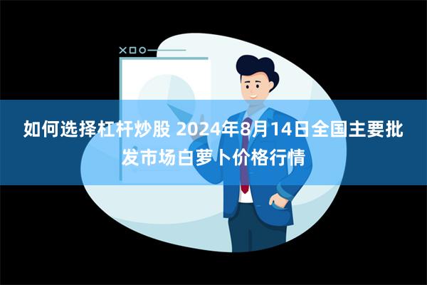 如何选择杠杆炒股 2024年8月14日全国主要批发市场白萝卜