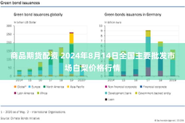 商品期货配资 2024年8月14日全国主要批发市场白梨价格行情