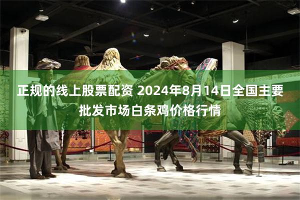 正规的线上股票配资 2024年8月14日全国主要批发市场白条鸡价格行情