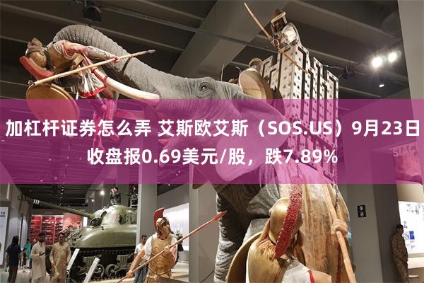 加杠杆证券怎么弄 艾斯欧艾斯（SOS.US）9月23日收盘报0.69美元/股，跌7.89%