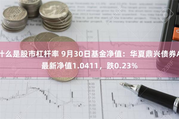 什么是股市杠杆率 9月30日基金净值：华夏鼎兴债券A最新净值1.0411，跌0.23%