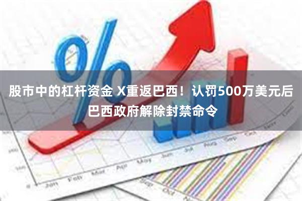 股市中的杠杆资金 X重返巴西！认罚500万美元后 巴西政府解除封禁命令