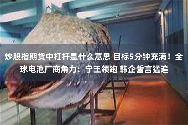 炒股指期货中杠杆是什么意思 目标5分钟充满！全球电池厂商角力