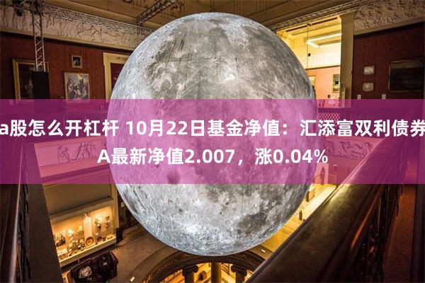 a股怎么开杠杆 10月22日基金净值：汇添富双利债券A最新净值2.007，涨0.04%