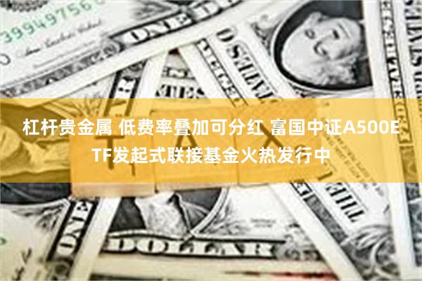 杠杆贵金属 低费率叠加可分红 富国中证A500ETF发起式联接基金火热发行中