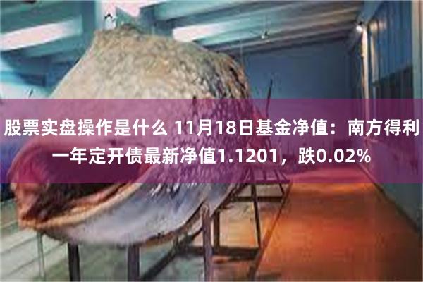 股票实盘操作是什么 11月18日基金净值：南方得利一年定开债