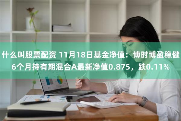 什么叫股票配资 11月18日基金净值：博时博盈稳健6个月持有