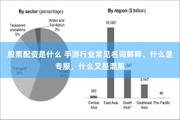 股票配资是什么 手游行业常见名词解释、什么是专服，什么又是混