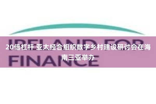 20倍杠杆 亚太经合组织数字乡村建设研讨会在海南三亚举办