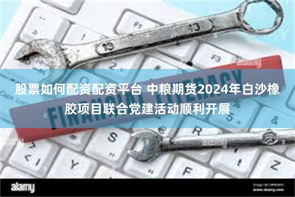 股票如何配资配资平台 中粮期货2024年白沙橡胶项目联合党建活动顺利开展