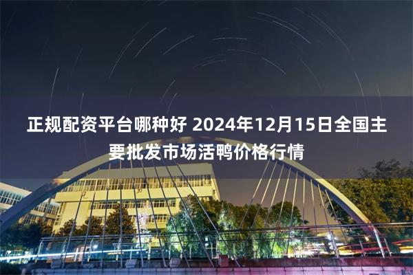 正规配资平台哪种好 2024年12月15日全国主要批发市场活鸭价格行情