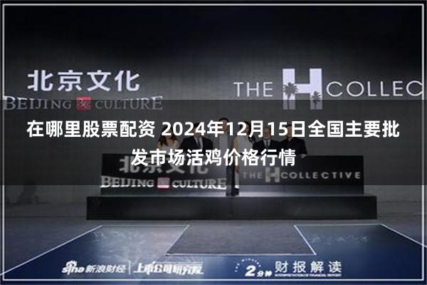 在哪里股票配资 2024年12月15日全国主要批发市场活鸡价格行情