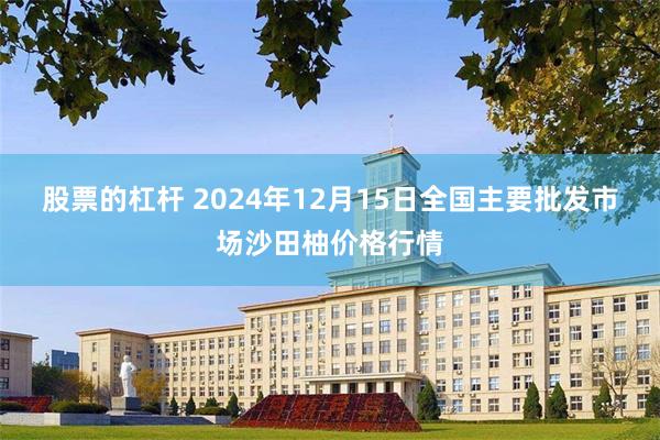 股票的杠杆 2024年12月15日全国主要批发市场沙田柚价格行情