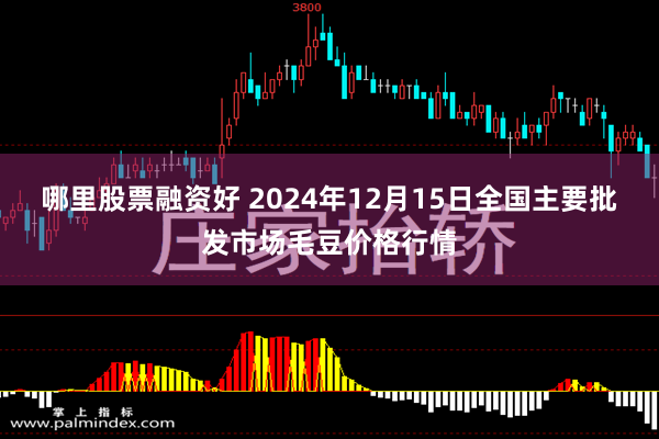 哪里股票融资好 2024年12月15日全国主要批发市场毛豆价格行情