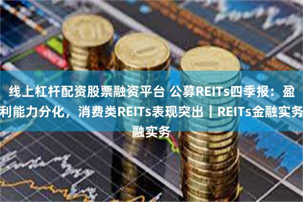 线上杠杆配资股票融资平台 公募REITs四季报：盈利能力分化，消费类REITs表现突出｜REITs金融实务