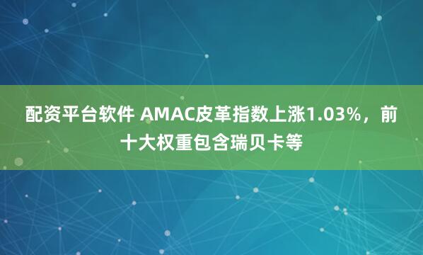 配资平台软件 AMAC皮革指数上涨1.03%，前十大权重包含瑞贝卡等