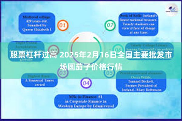 股票杠杆过高 2025年2月16日全国主要批发市场圆茄子价格行情