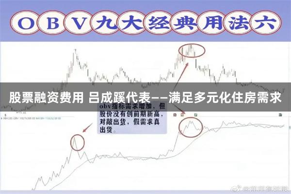 股票融资费用 吕成蹊代表——满足多元化住房需求