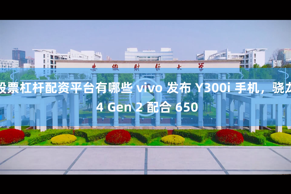 股票杠杆配资平台有哪些 vivo 发布 Y300i 手机，骁龙 4 Gen 2 配合 650