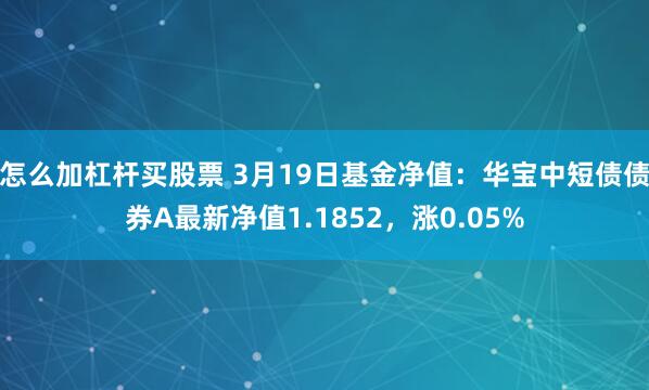 怎么加杠杆买股票 3月19日基金净值：华宝中短债债券A最新净值1.1852，涨0.05%